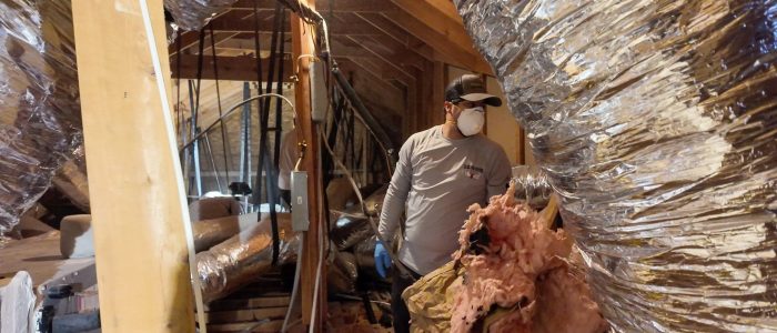 Screenshot-2026-01-30-at-2.45.48-PM